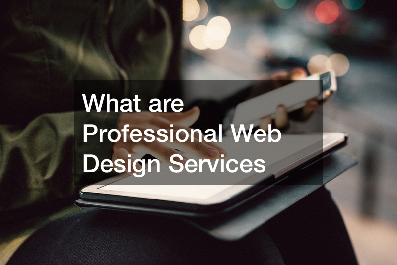 What are Professional Web Design Services