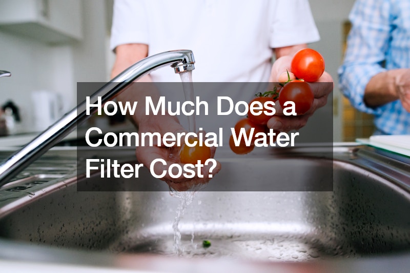 How Much Does a Commercial Water Filter Cost?
