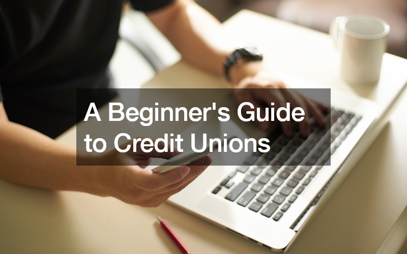 A Beginners Guide to Credit Unions