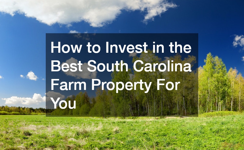 How to Invest in Your Best SC Lawn Property